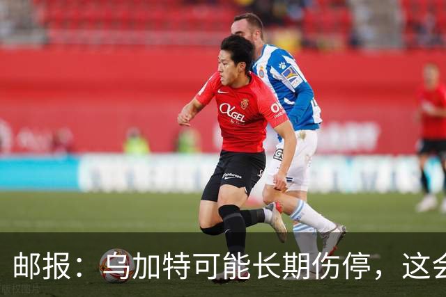 邮报：乌加特可能长期伤停，这会影响曼联今夏的转会运作